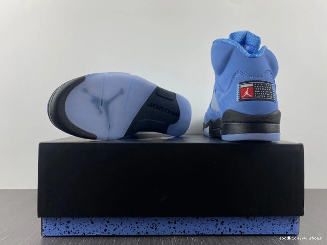 5 UNC DV1310-401 Air Jordan 0807